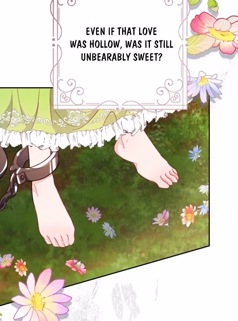 Read Lia