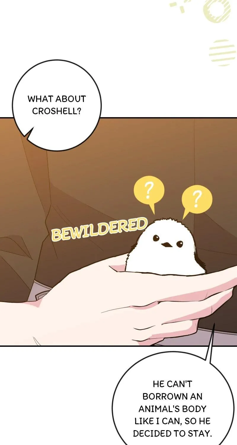 Read Libera Me chapter 52 image 121 on Lezhin