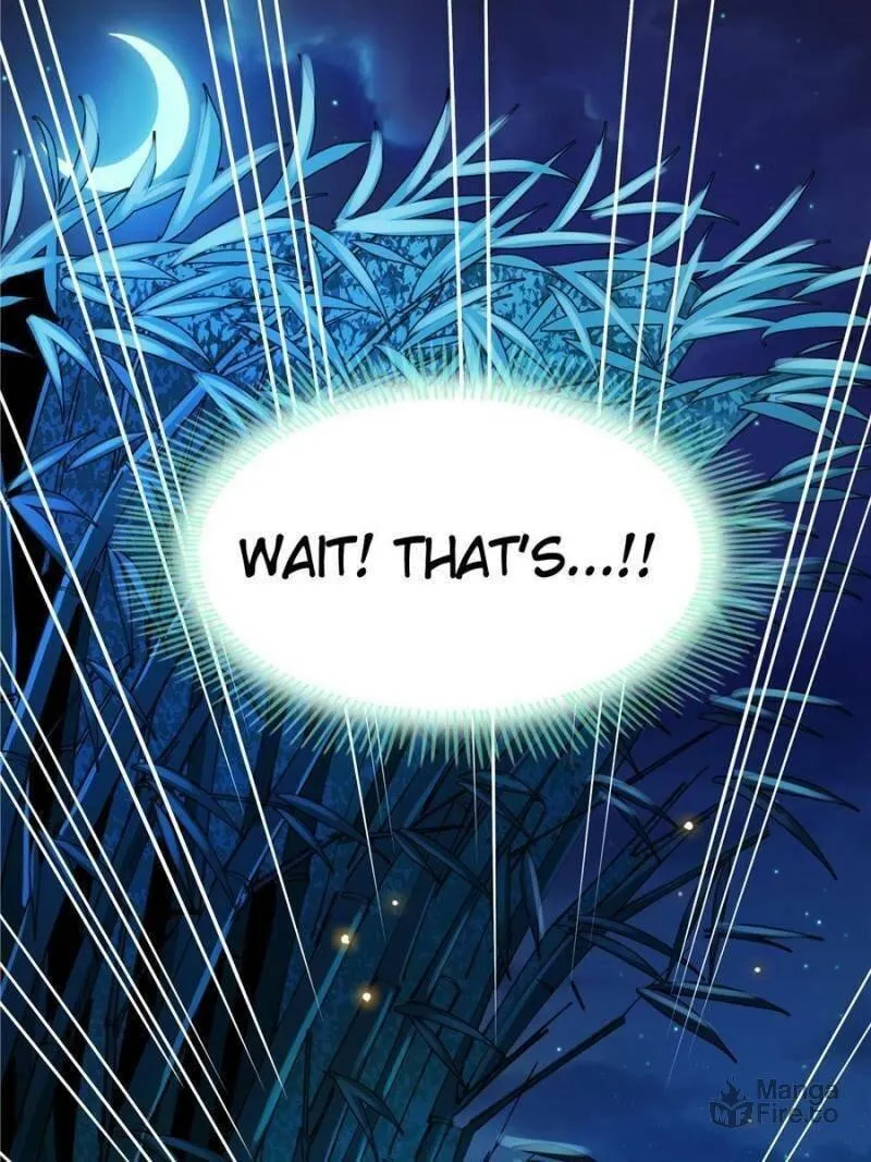 Library of Heaven's Path Chapter 21 page 57 - 
