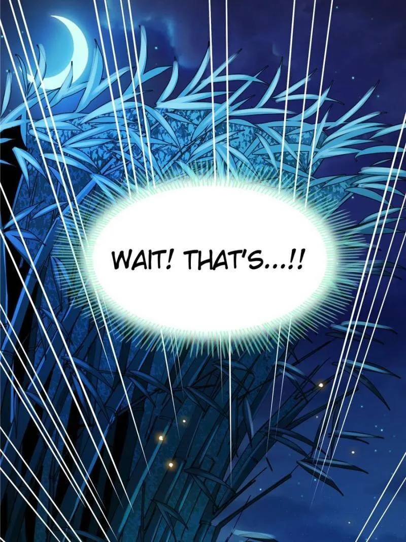 Library Of Heaven’S Path Chapter 21 page 57 - 