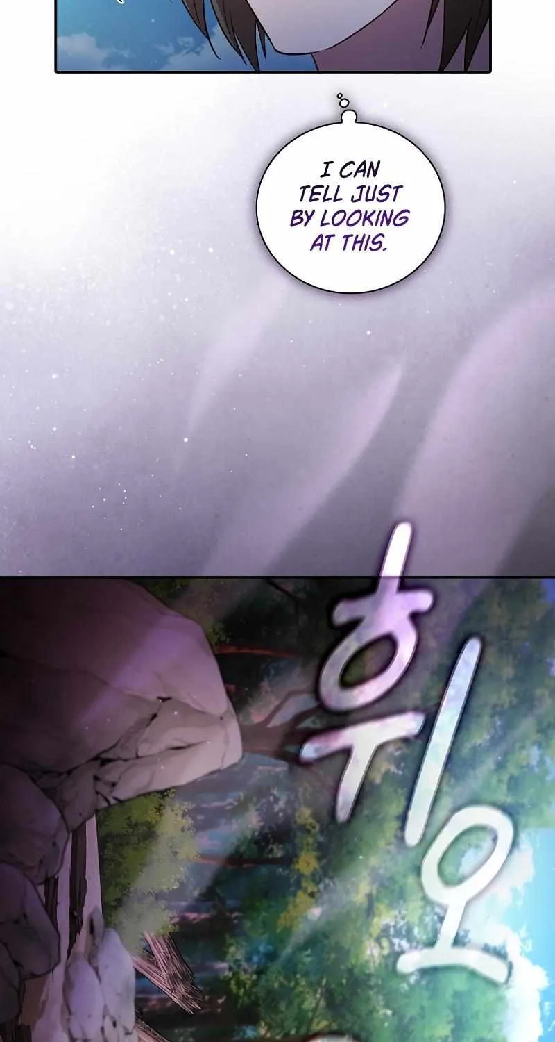 Life of a Magic Academy Mage Chapter 105 page 74 - 