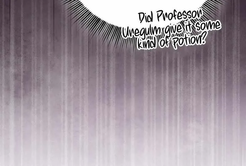 Life of a Magic Academy Mage Chapter 113 page 20 - 