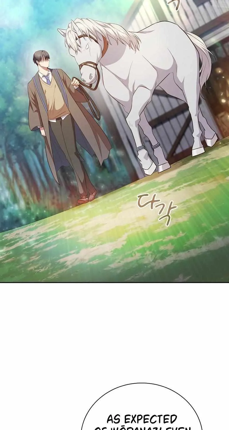 Life of a Magic Academy Mage Chapter 113 page 27 - 