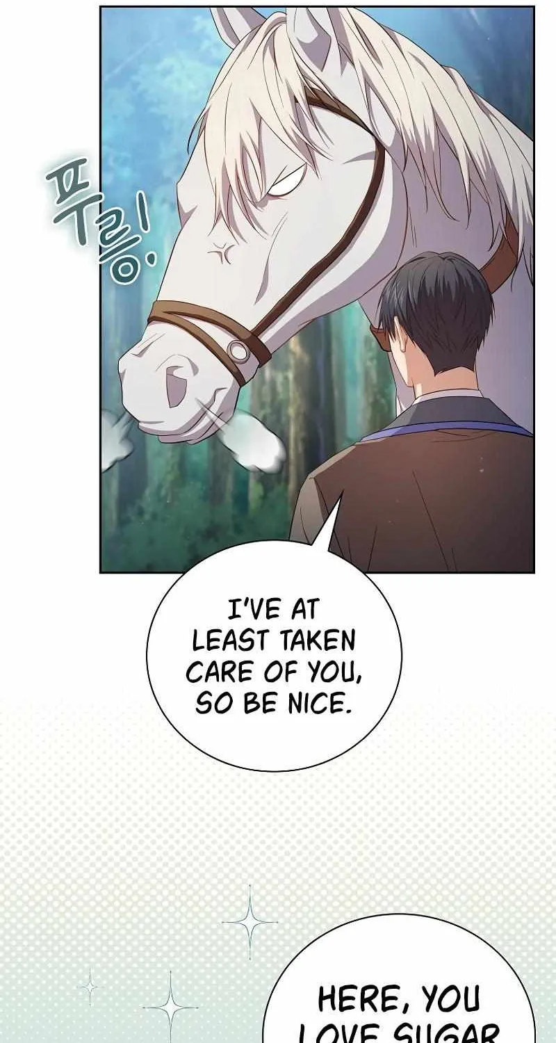 Life of a Magic Academy Mage Chapter 113 page 49 - 