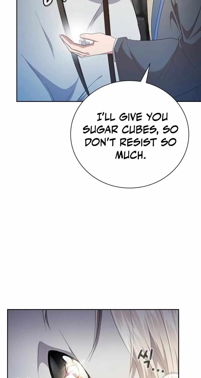 Life of a Magic Academy Mage Chapter 114 page 34 - 