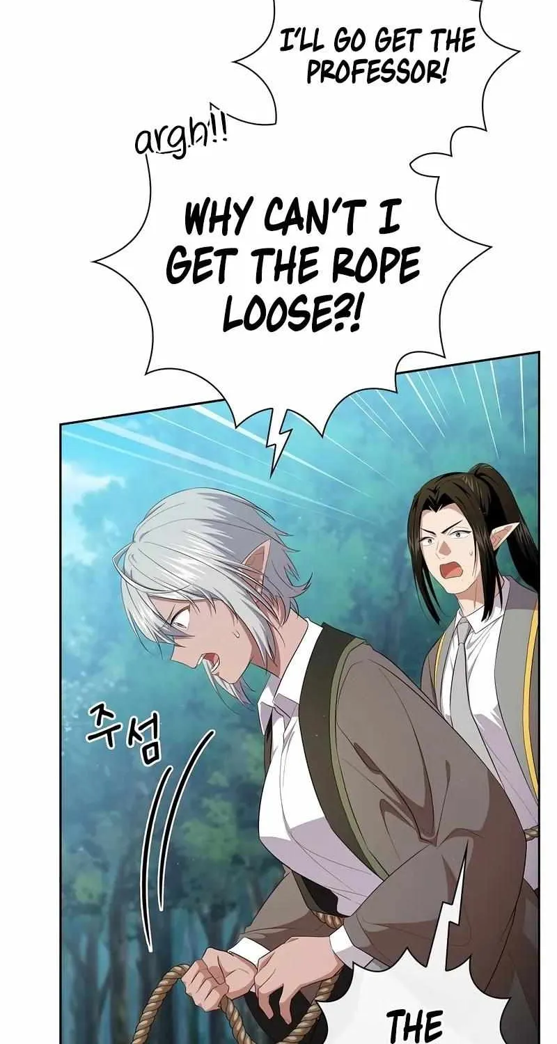 Life of a Magic Academy Mage Chapter 114 page 66 - 