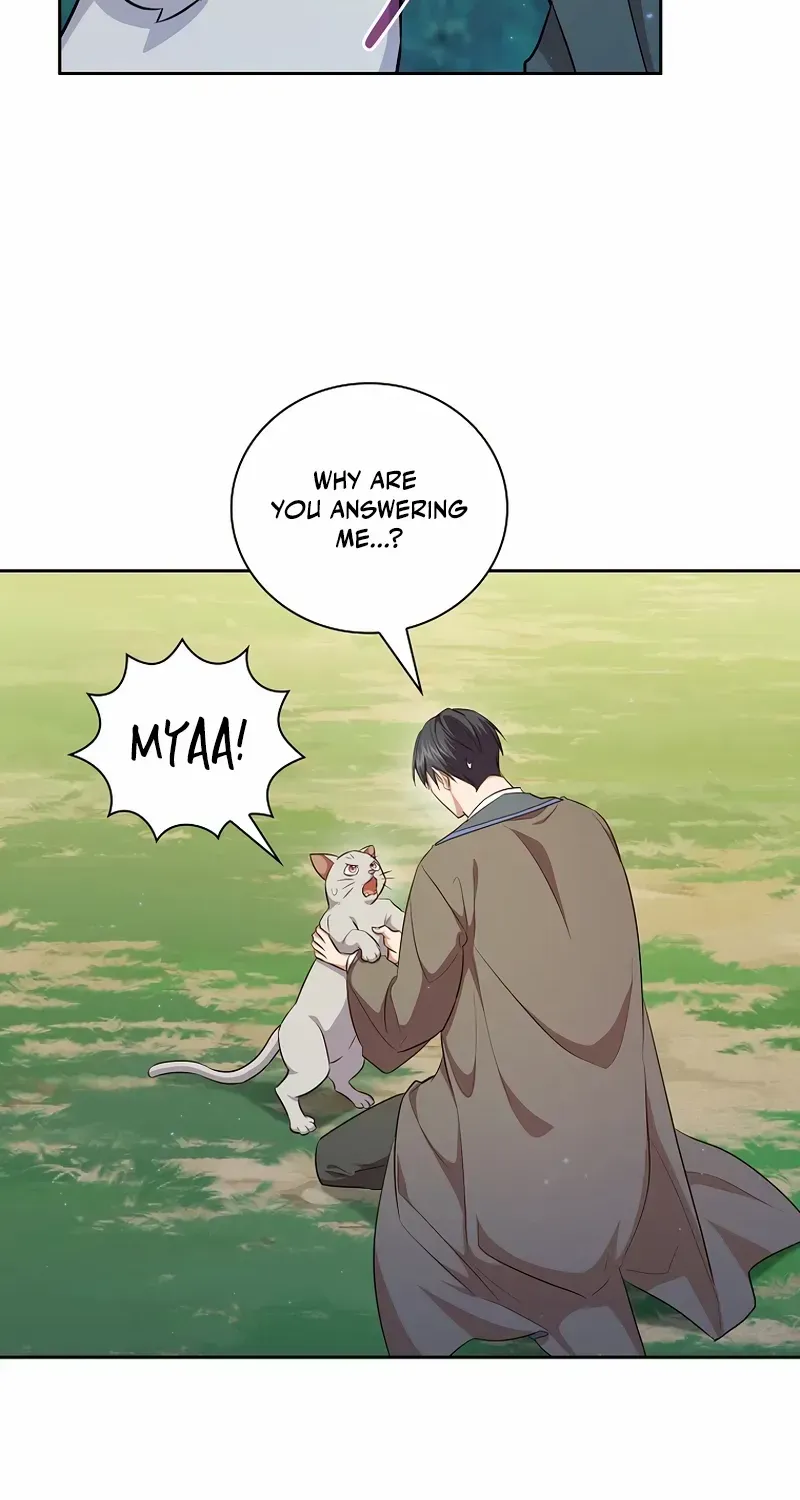Life of a Magic Academy Mage Chapter 124 page 46 - 