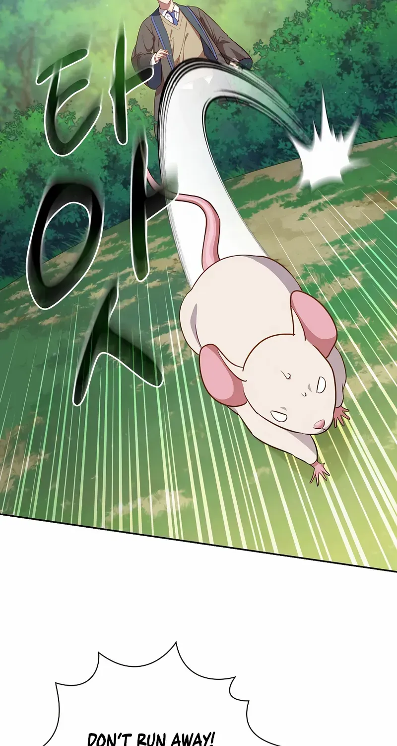 Life of a Magic Academy Mage Chapter 124 page 81 - 