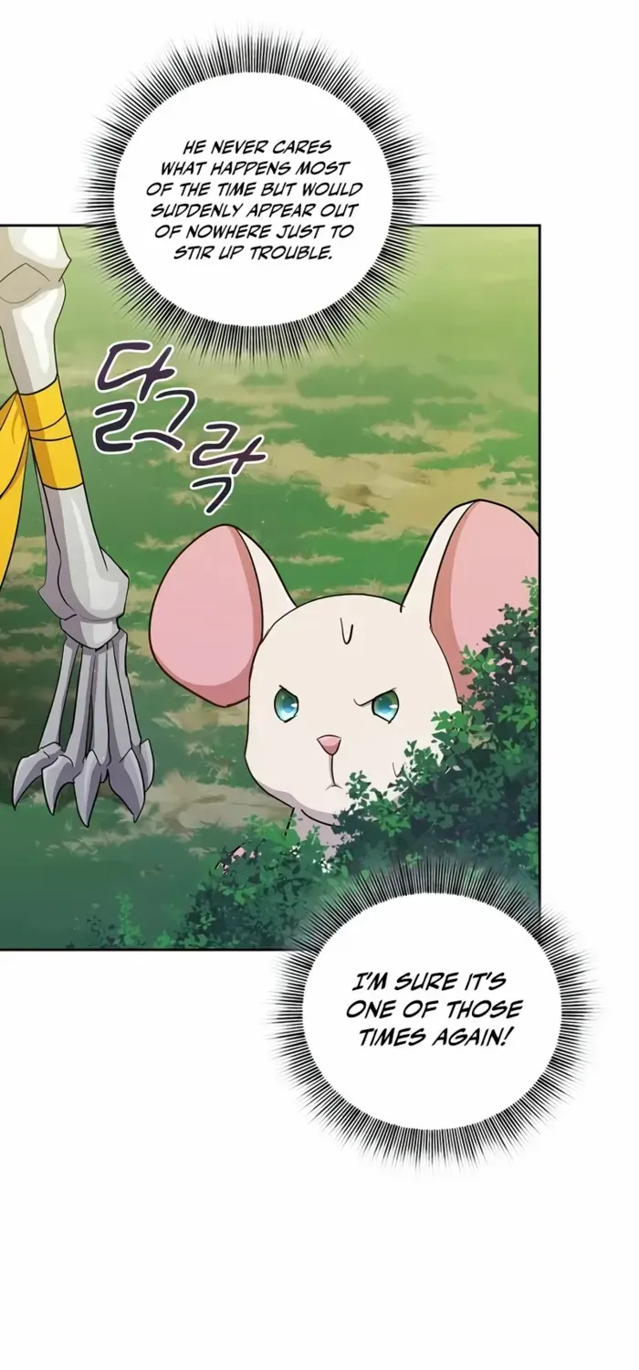 Life of a Magic Academy Mage Chapter 125 page 17 - 