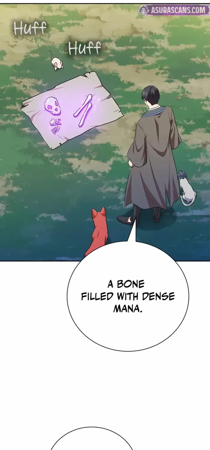Life of a Magic Academy Mage Chapter 125 page 43 - 