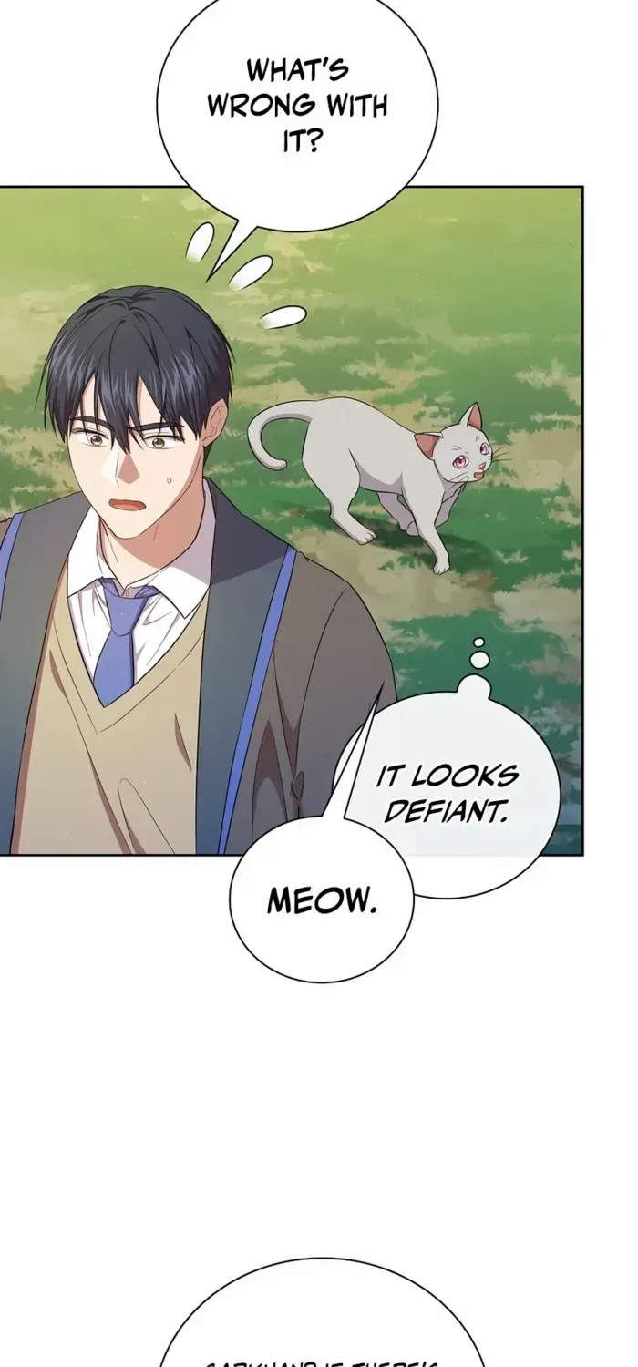 Life of a Magic Academy Mage Chapter 125 page 56 - 