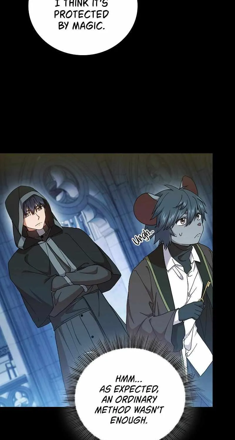 Life of a Magic Academy Mage Chapter 40 page 44 - 