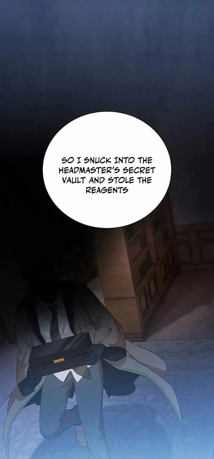 Life of a Magic Academy Mage Chapter 48 page 15 - 