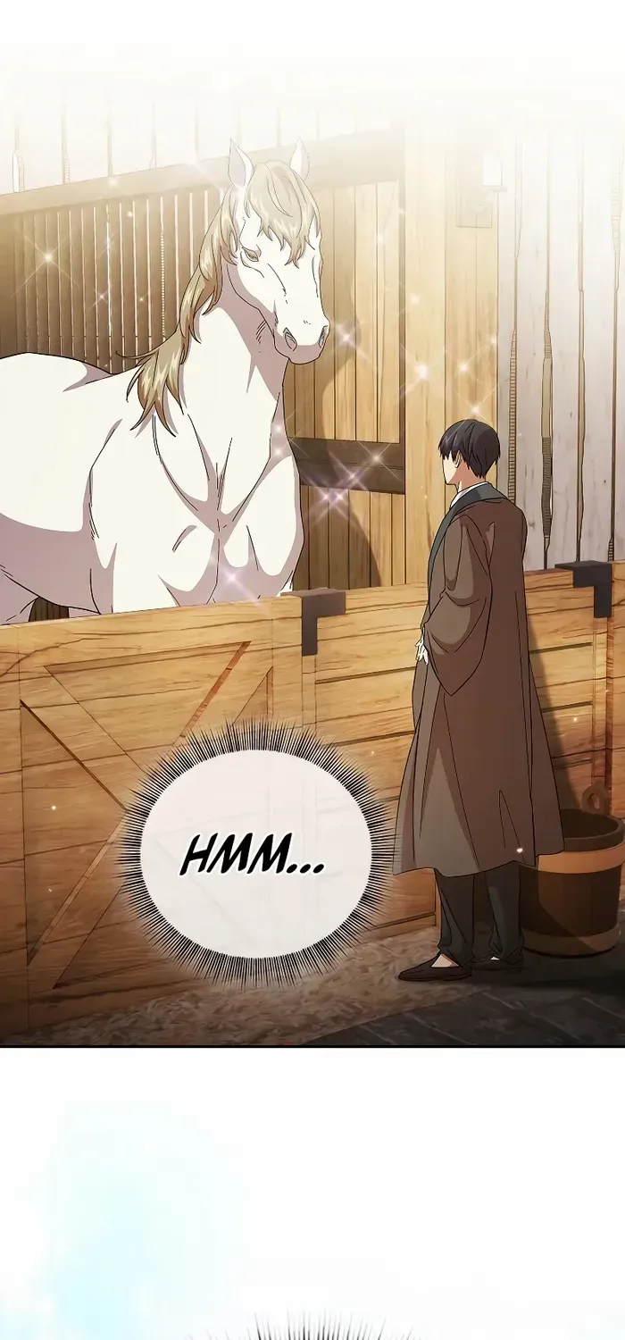 Life of a Magic Academy Mage Chapter 49 page 29 - 