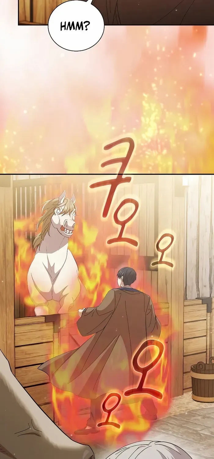 Life of a Magic Academy Mage Chapter 49 page 40 - 
