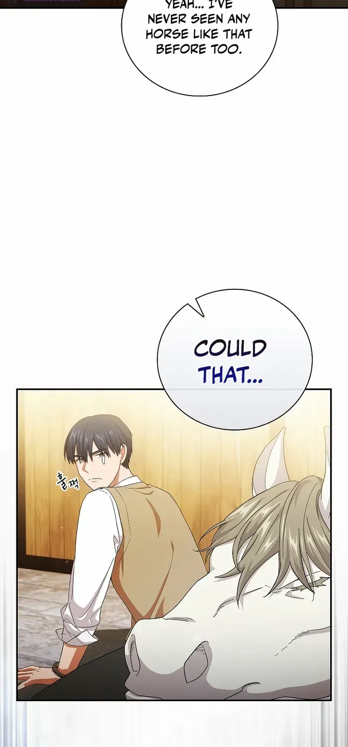 Life of a Magic Academy Mage Chapter 49 page 52 - 
