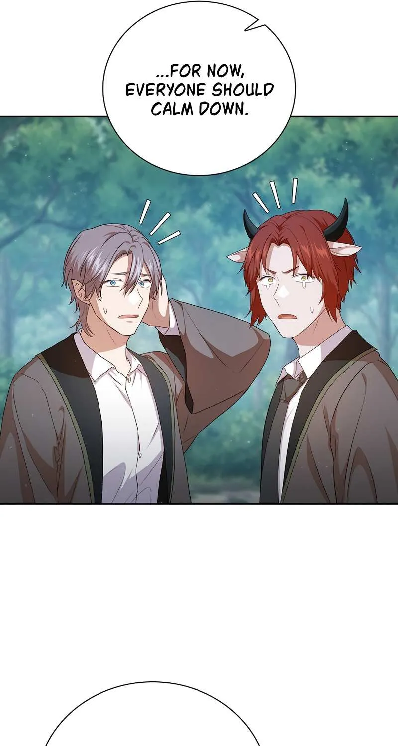 Life of a Magic Academy Mage Chapter 62 page 19 - 