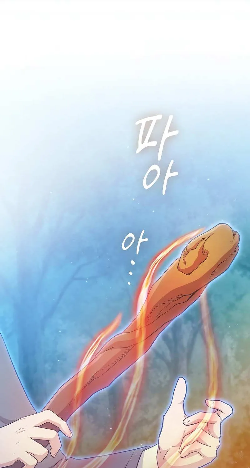 Life of a Magic Academy Mage Chapter 66 page 44 - 
