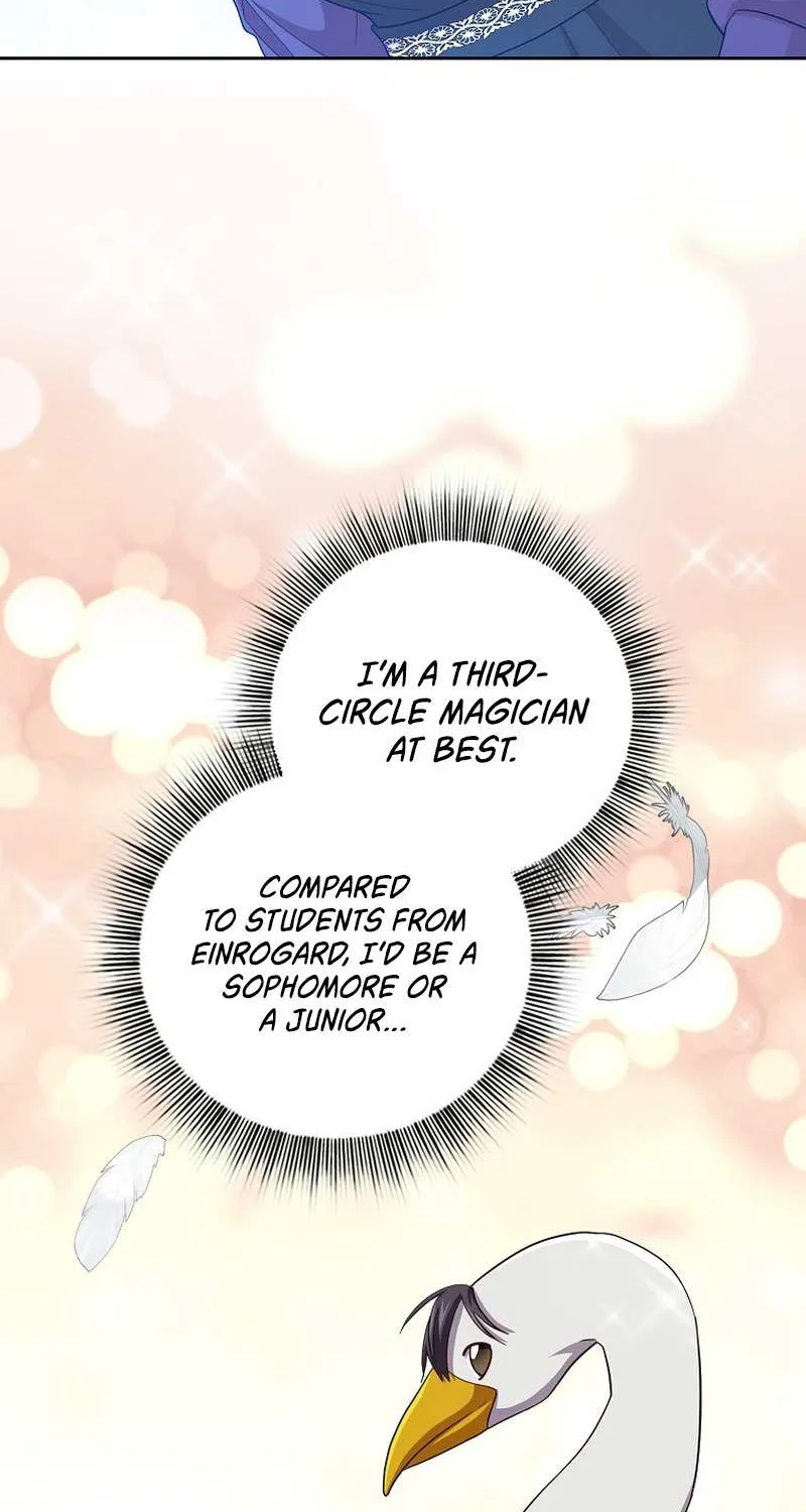 Life of a Magic Academy Mage Chapter 71 page 69 - 