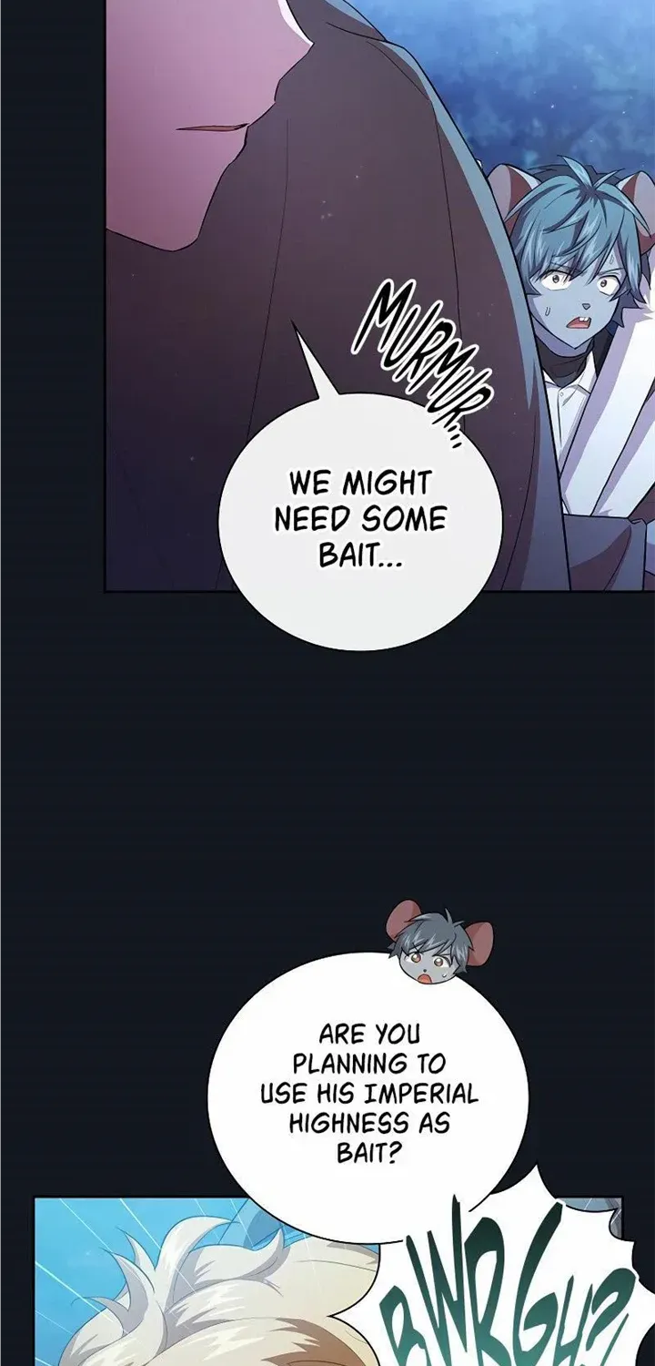 Life of a Magic Academy Mage Chapter 76 page 42 - 
