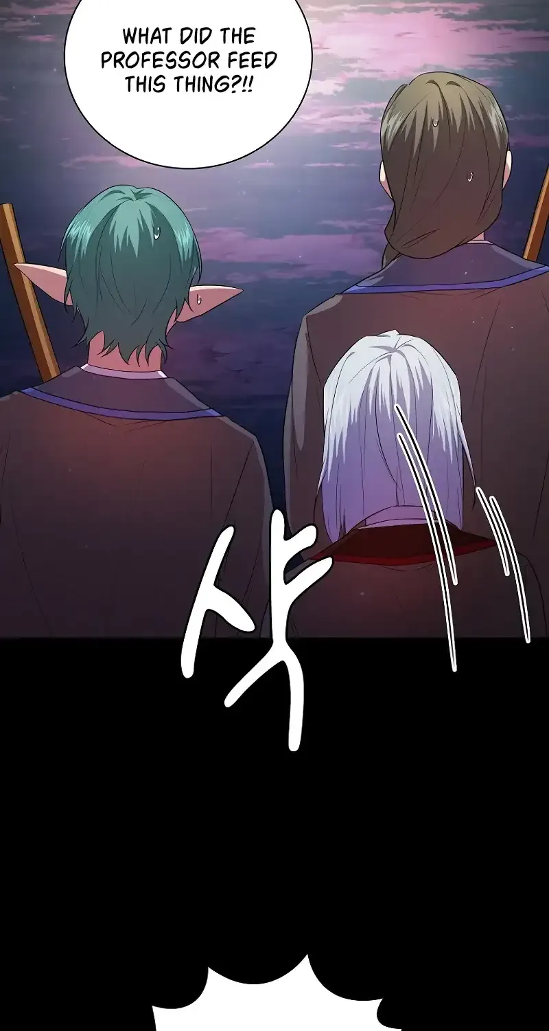 Life of a Magic Academy Mage Chapter 91 page 74 - 
