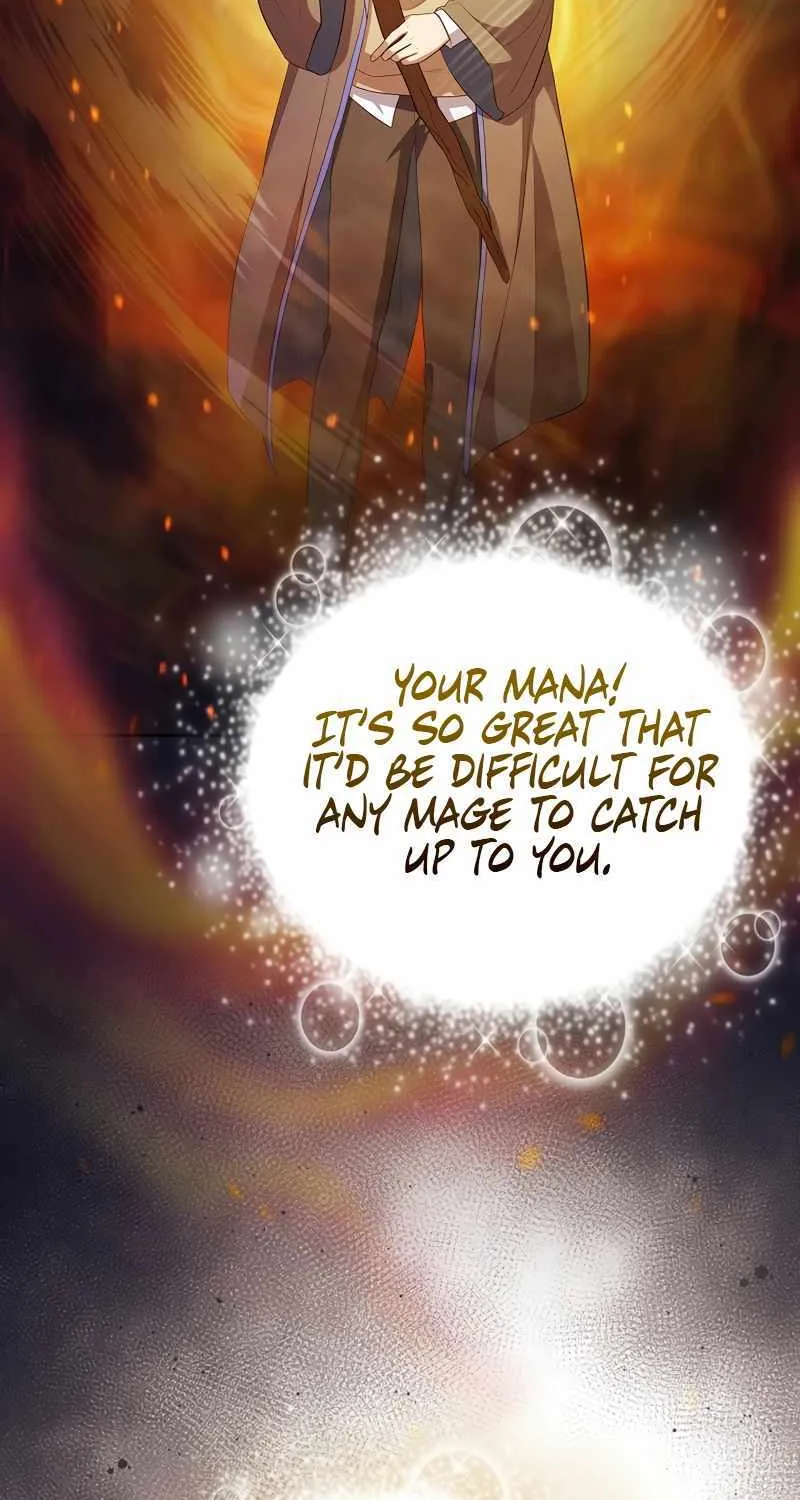 Life of a Magic Academy Mage Chapter 95 page 69 - 