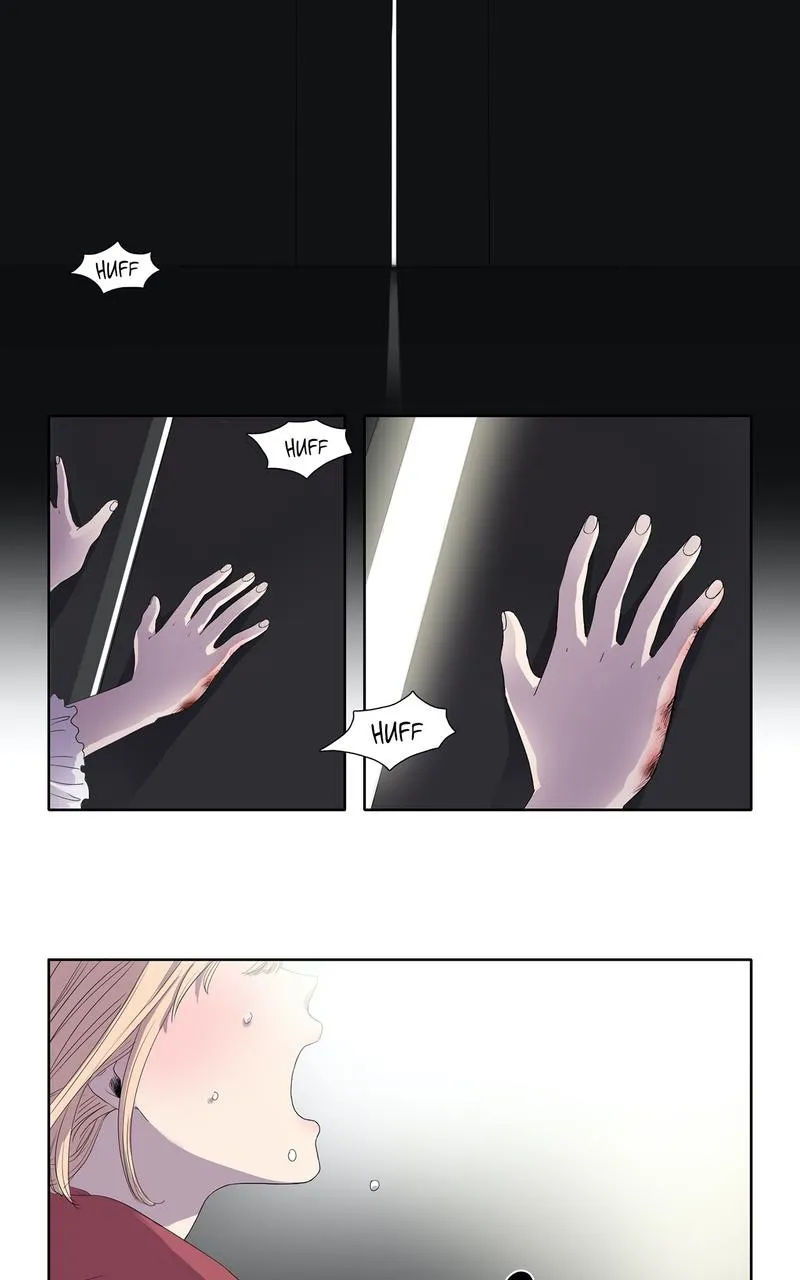 Read Light and Shadow chapter 1 image 4 on Lezhin