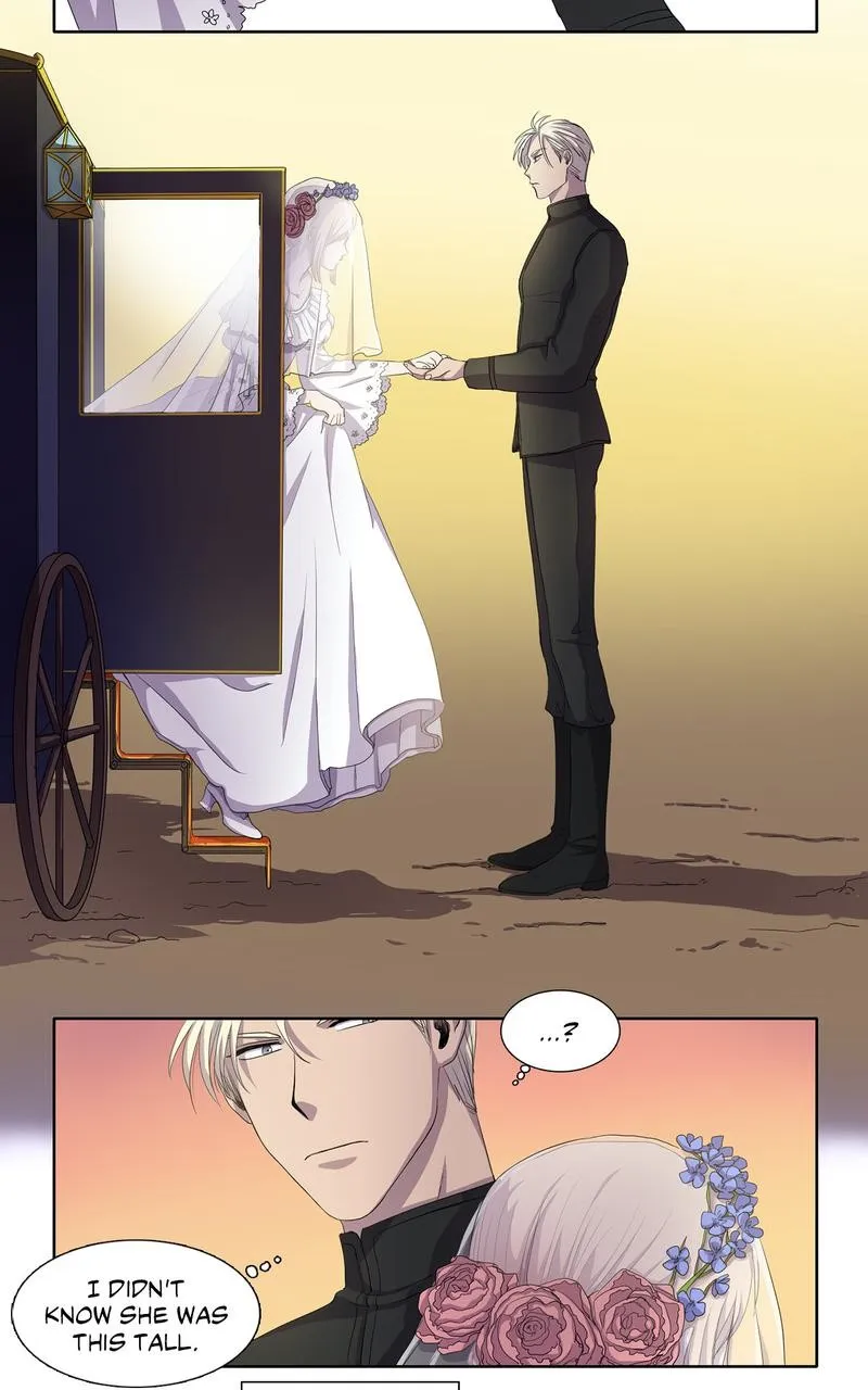 Read Light and Shadow chapter 2 image 14 on Lezhin
