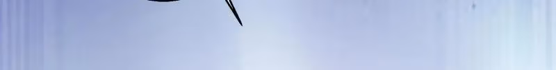 Like Husband, Like Son Chapter 1 page 29 - 
