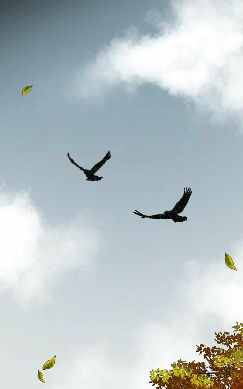Read Like Wind on a Dry Branch chapter 112 image 14 on Lezhin