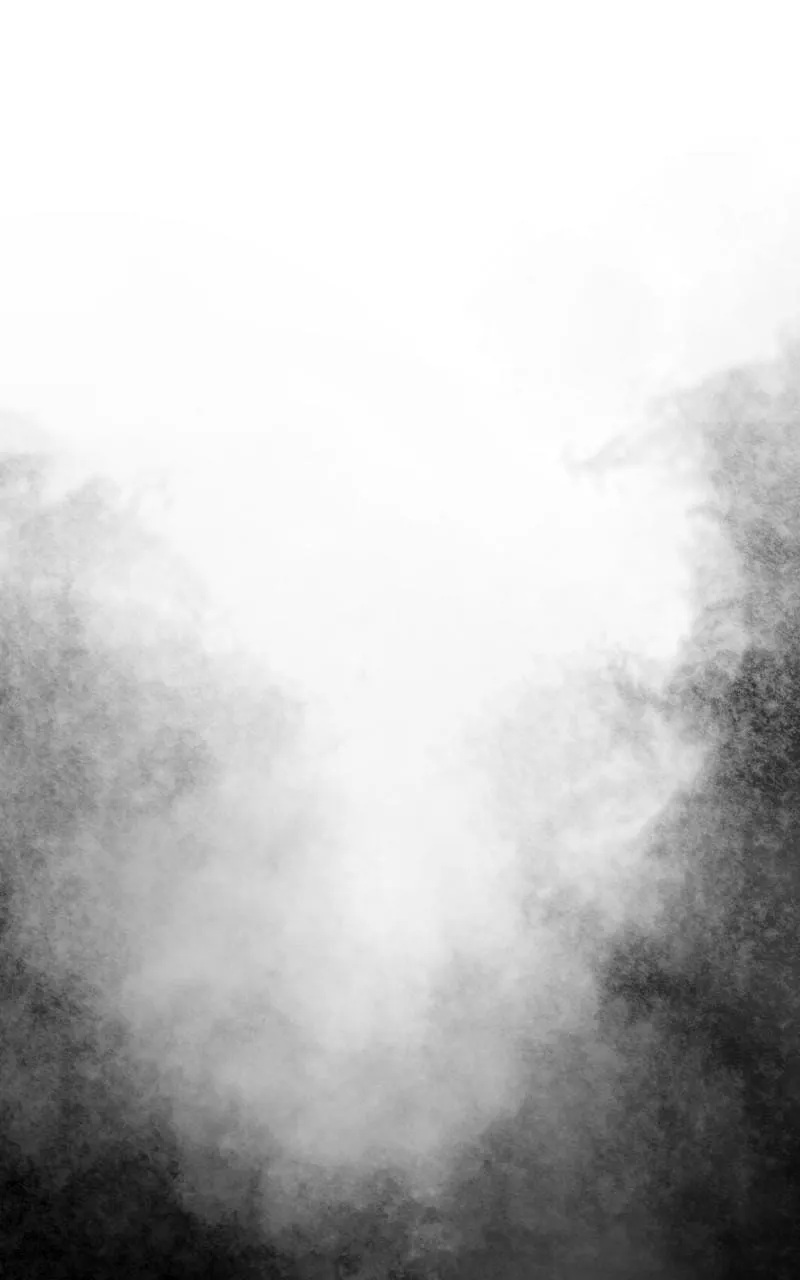 Read Like Wind on a Dry Branch chapter 116 image 67 on Lezhin