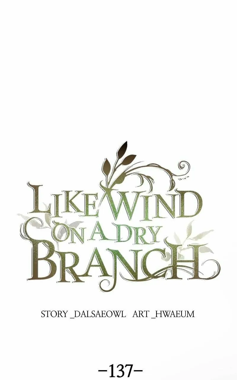 Read Like Wind on a Dry Branch chapter 137 image 0 on Lezhin
