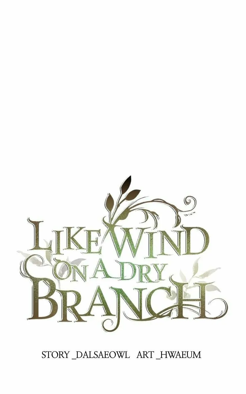 Read Like Wind on a Dry Branch chapter 142 image 48 on Lezhin