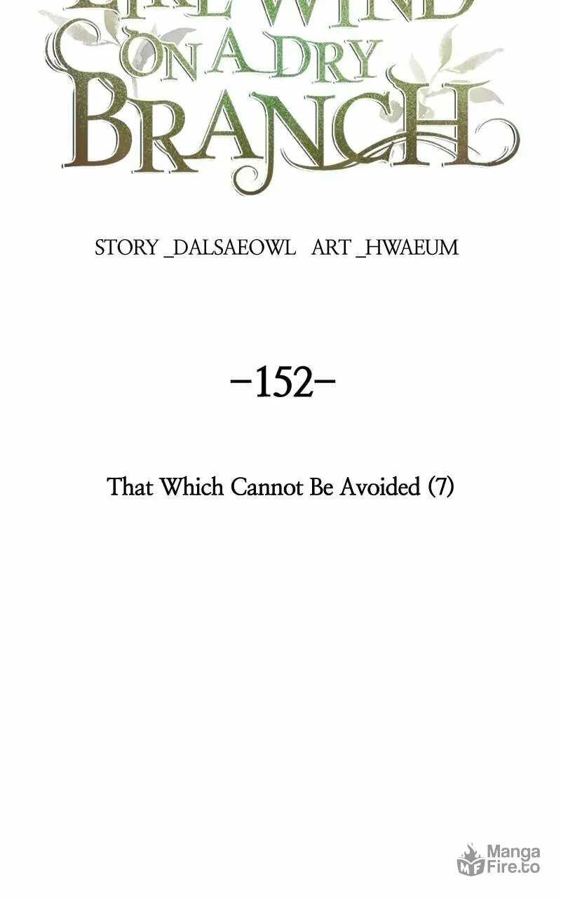 Read Like Wind on a Dry Branch chapter 152 image 69 on Lezhin