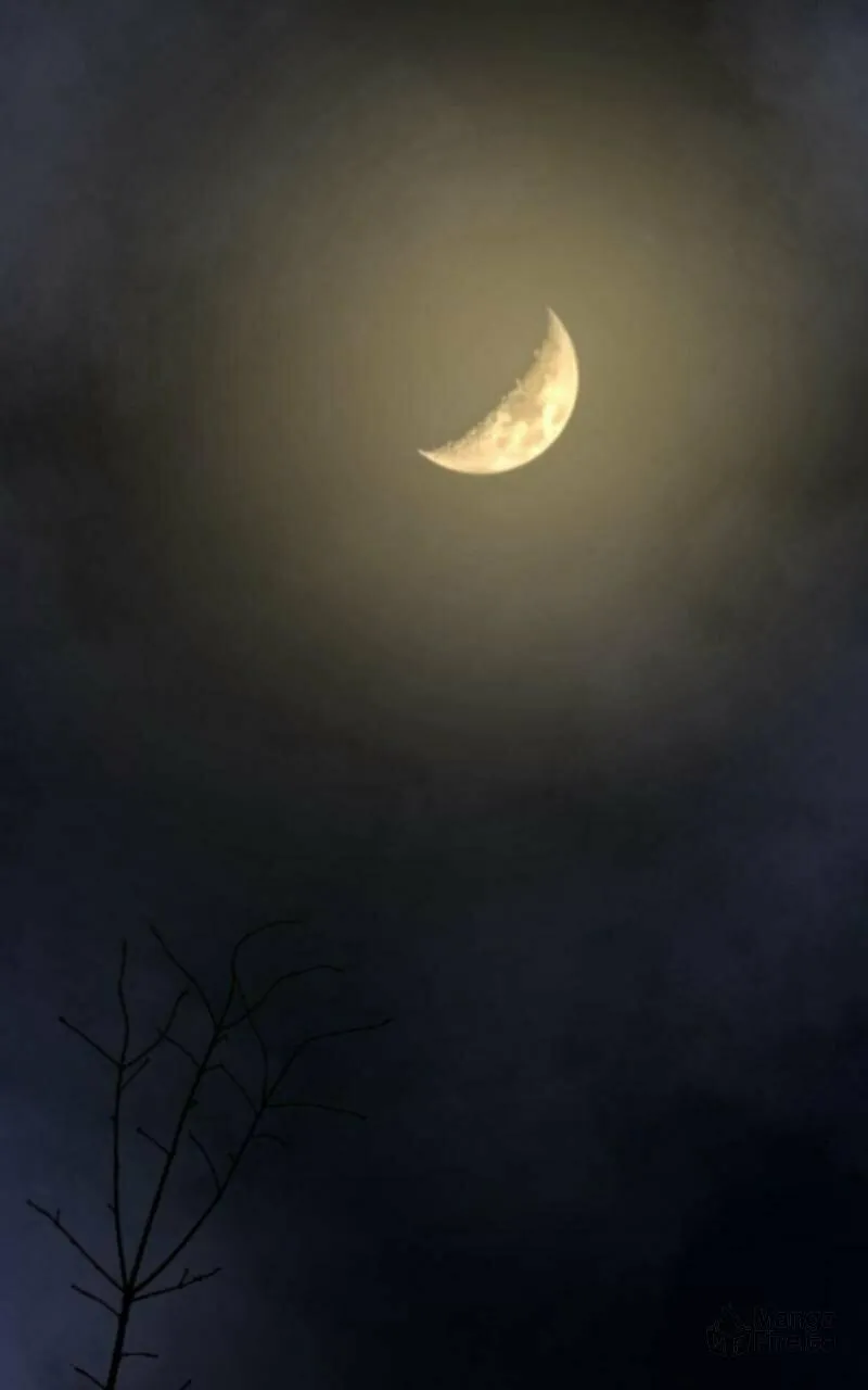 Read Like Wind on a Dry Branch chapter 157 image 84 on Lezhin