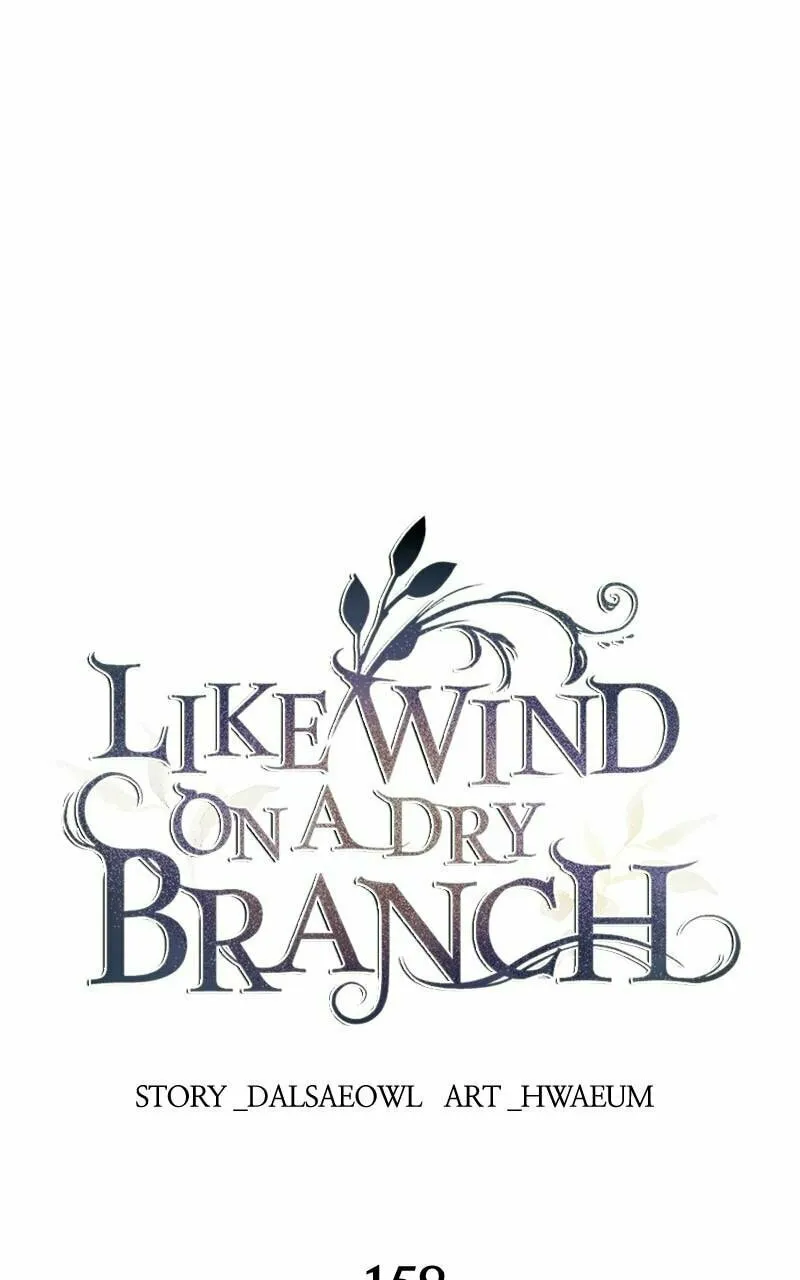 Read Like Wind on a Dry Branch chapter 158 image 0 on Lezhin