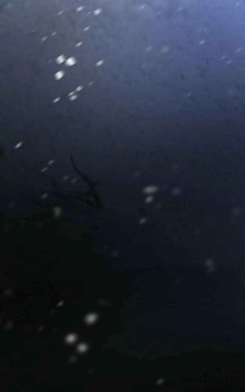 Read Like Wind on a Dry Branch chapter 158 image 131 on Lezhin