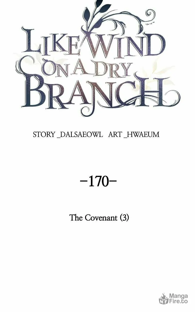 Read Like Wind on a Dry Branch chapter 170 image 47 on Lezhin