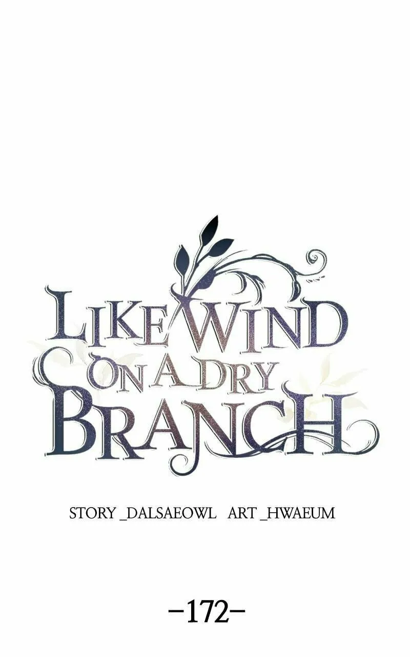 Read Like Wind on a Dry Branch chapter 172 image 36 on Lezhin