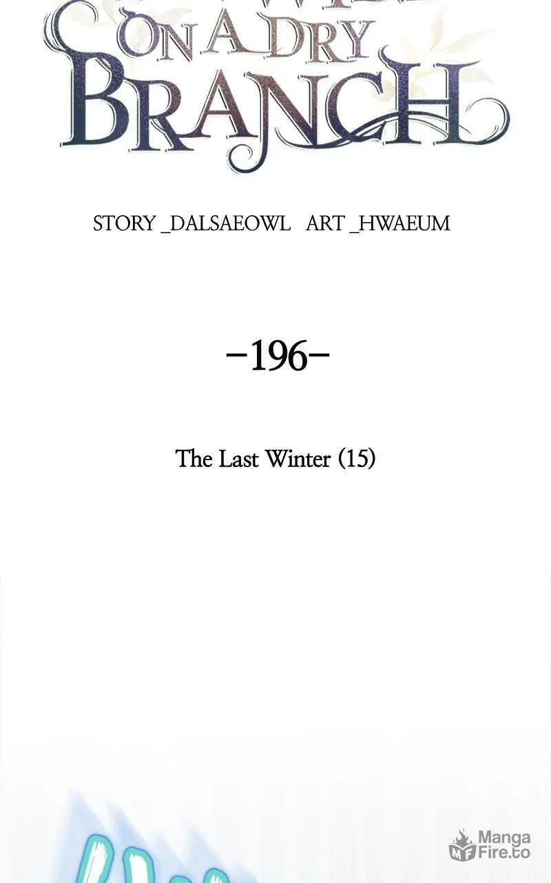 Read Like Wind on a Dry Branch chapter 196 image 54 on Lezhin