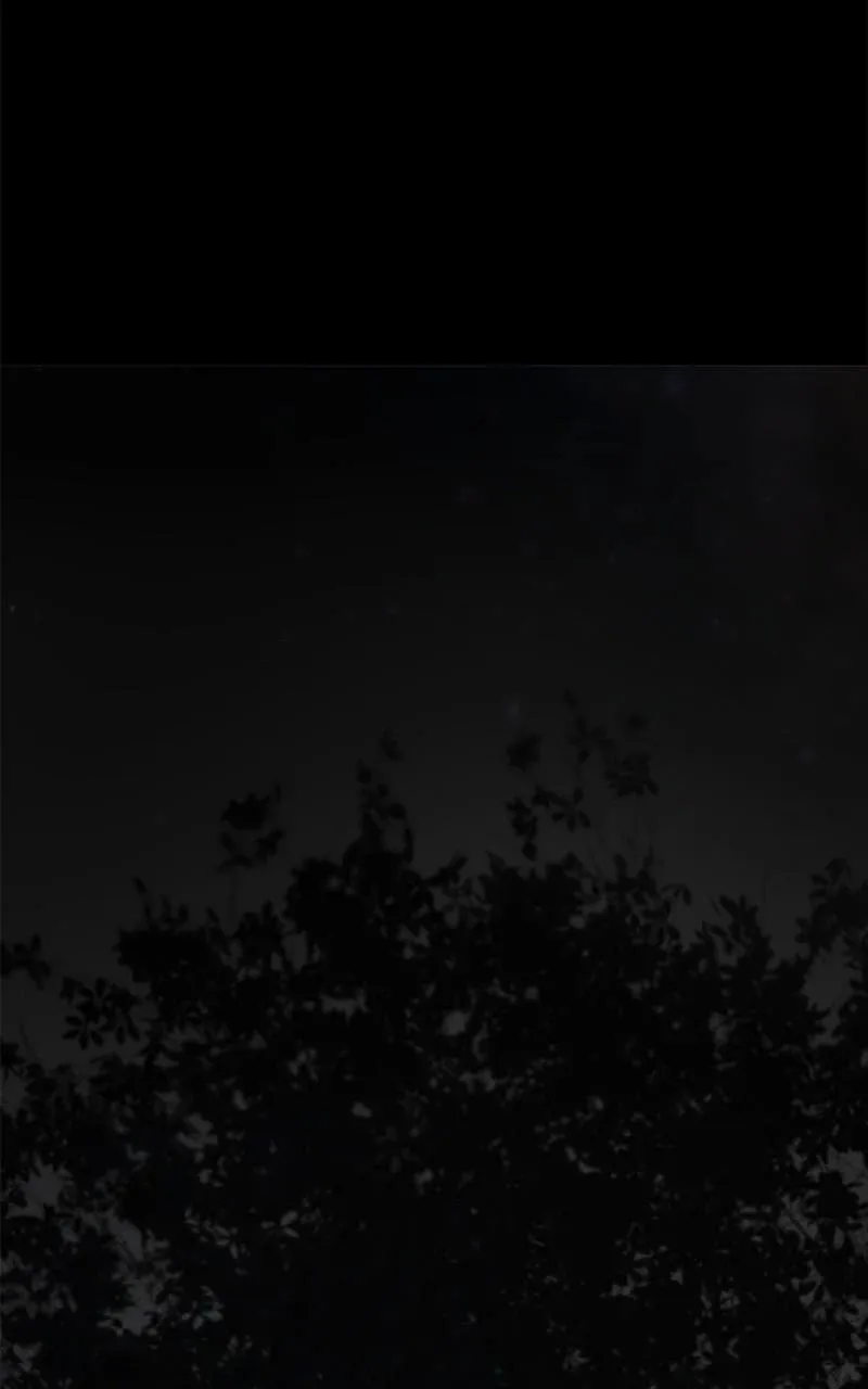 Read Like Wind on a Dry Branch chapter 200 image 28 on Lezhin