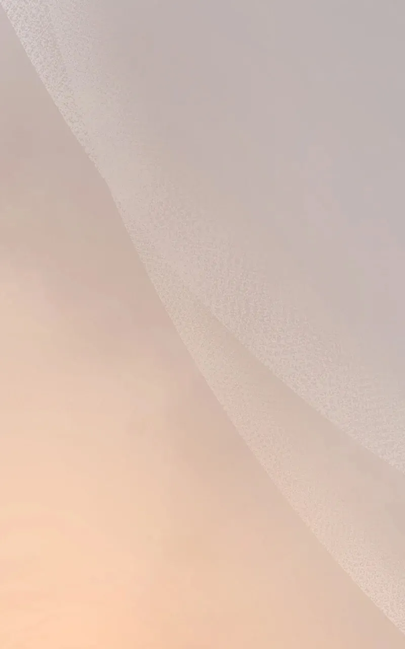 Read Like Wind on a Dry Branch chapter 210 image 48 on Lezhin
