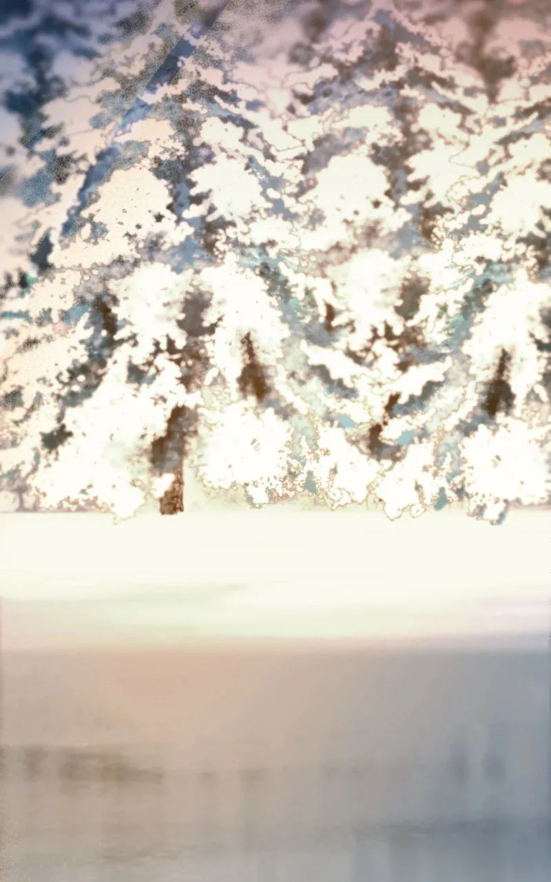 Read Like Wind on a Dry Branch chapter 211 image 57 on Lezhin