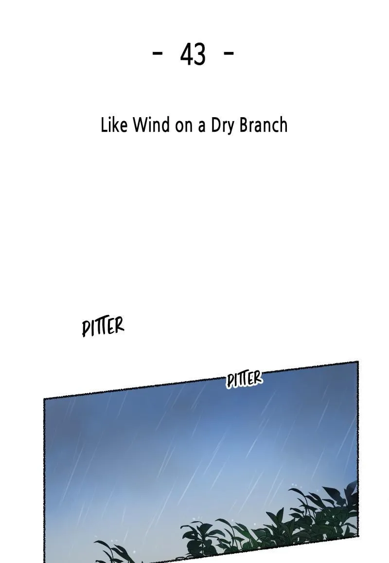 Read Like Wind on a Dry Branch chapter 43 image 1 on Lezhin