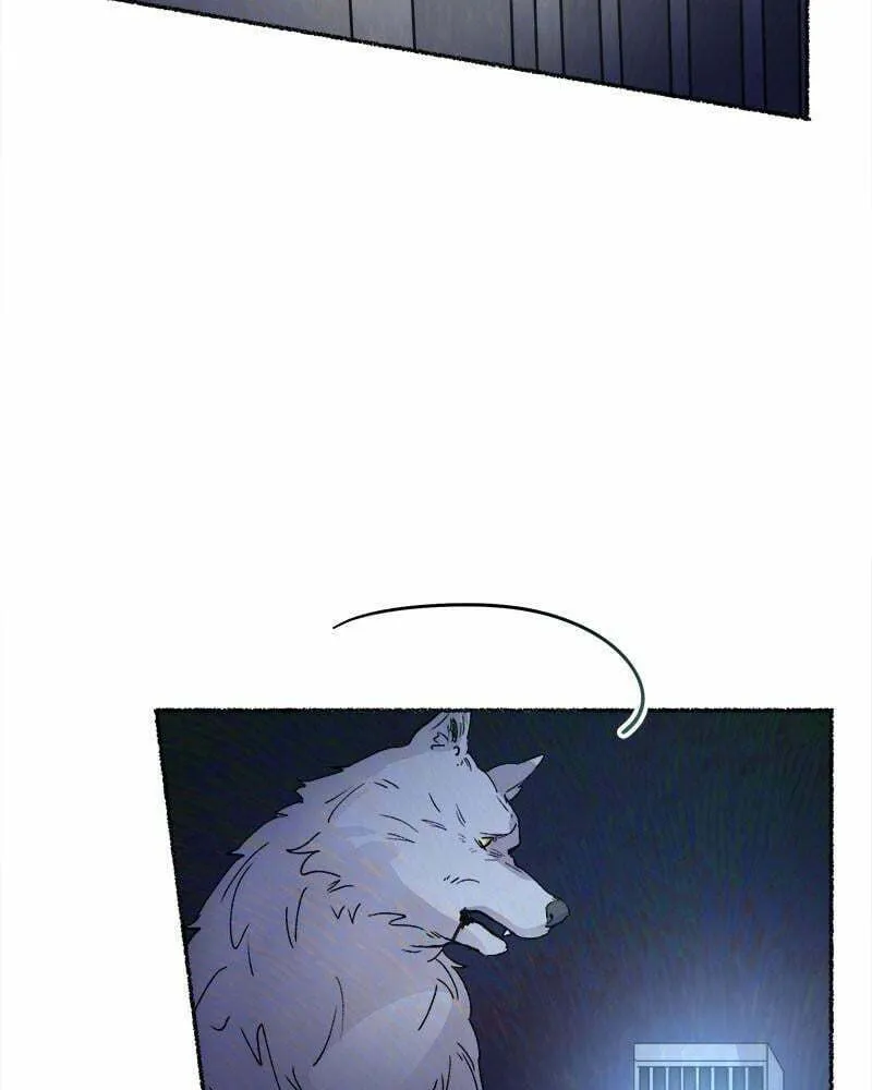 Read Like Wind on a Dry Branch chapter 74 image 202 on Lezhin