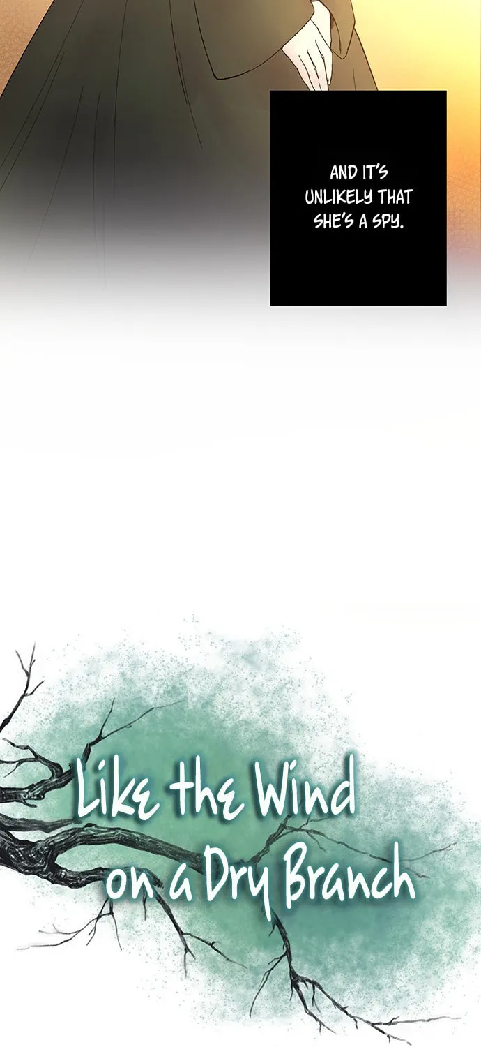 Read Like Wind on a Dry Branch chapter 8 image 9 on Lezhin