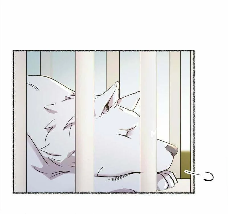Read Like Wind on a Dry Branch chapter 80 image 10 on Lezhin