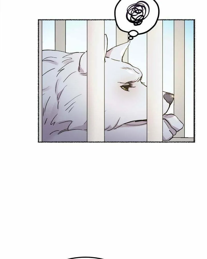 Read Like Wind on a Dry Branch chapter 80 image 13 on Lezhin