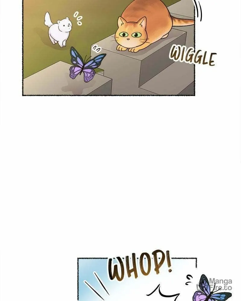 Read Like Wind on a Dry Branch chapter 80 image 4 on Lezhin