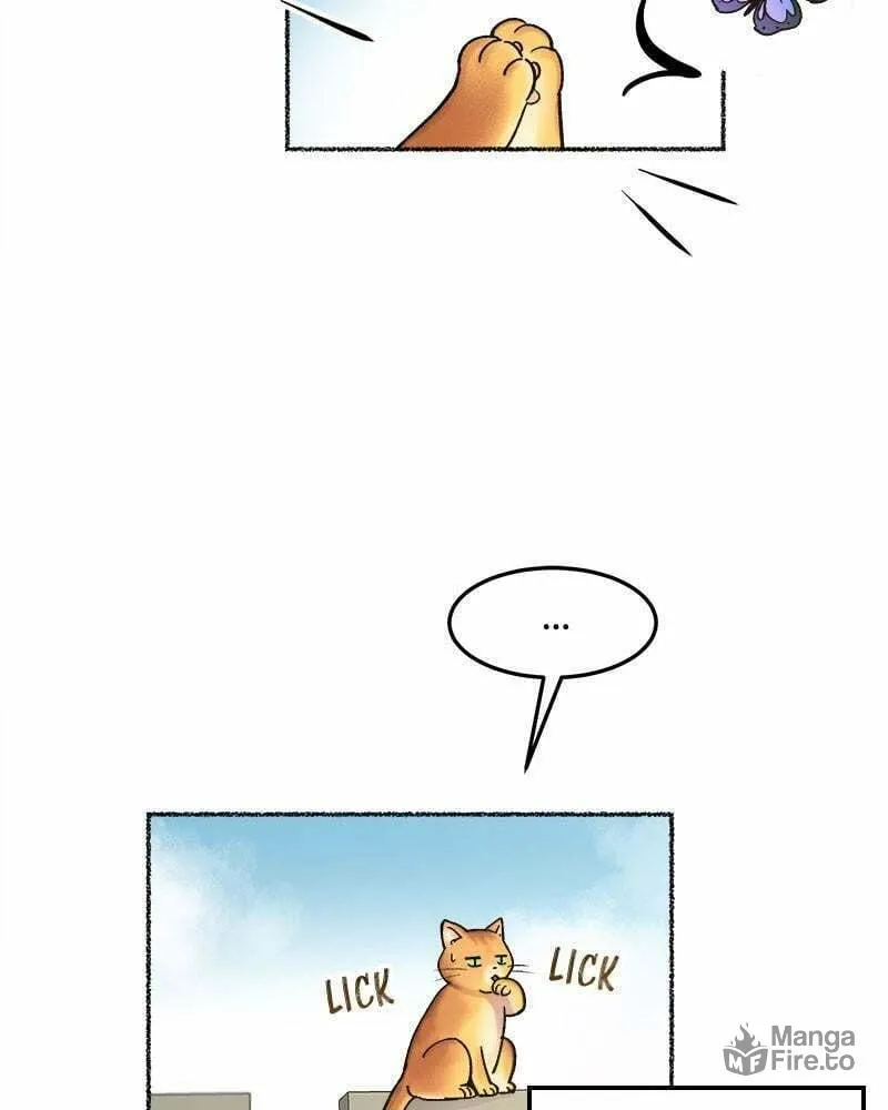 Read Like Wind on a Dry Branch chapter 80 image 5 on Lezhin